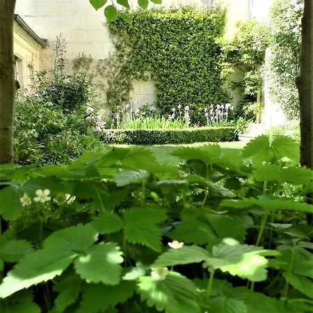 Les De L'abbaye
