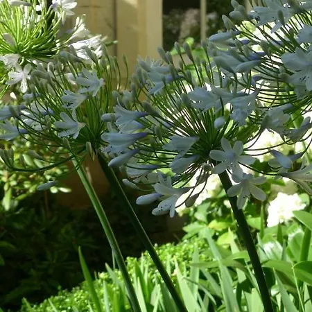 Les De L'abbaye 3* Καν