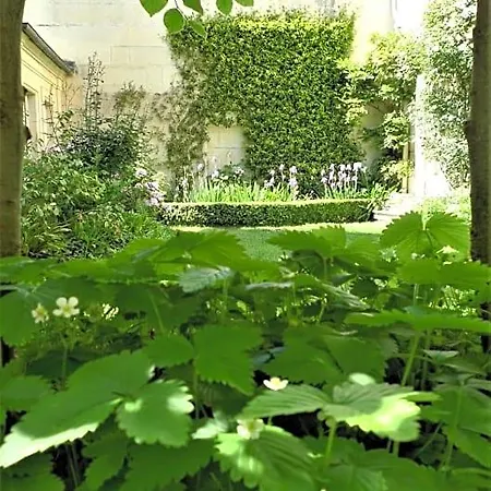 Les De L'abbaye Nocleg ze śniadaniem Caen