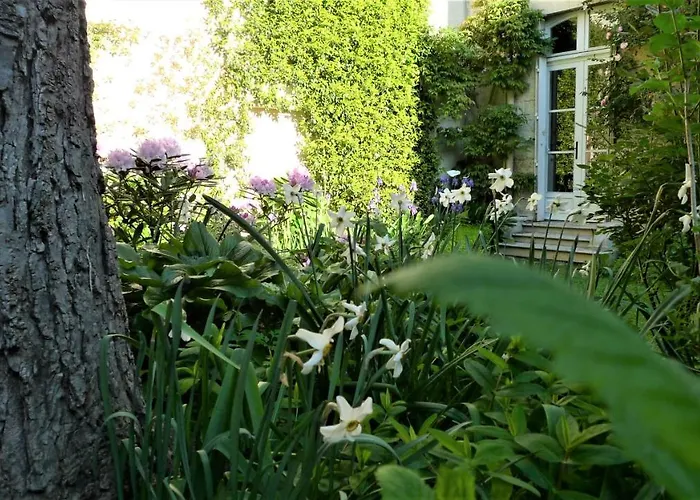 Bed & Breakfast Les De L'abbaye