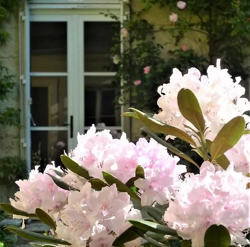 Bed & Breakfast Les De L'abbaye