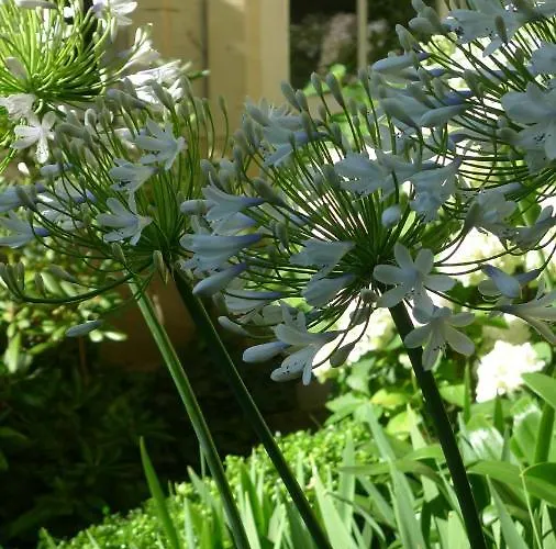 Les De L'abbaye 3* Caen